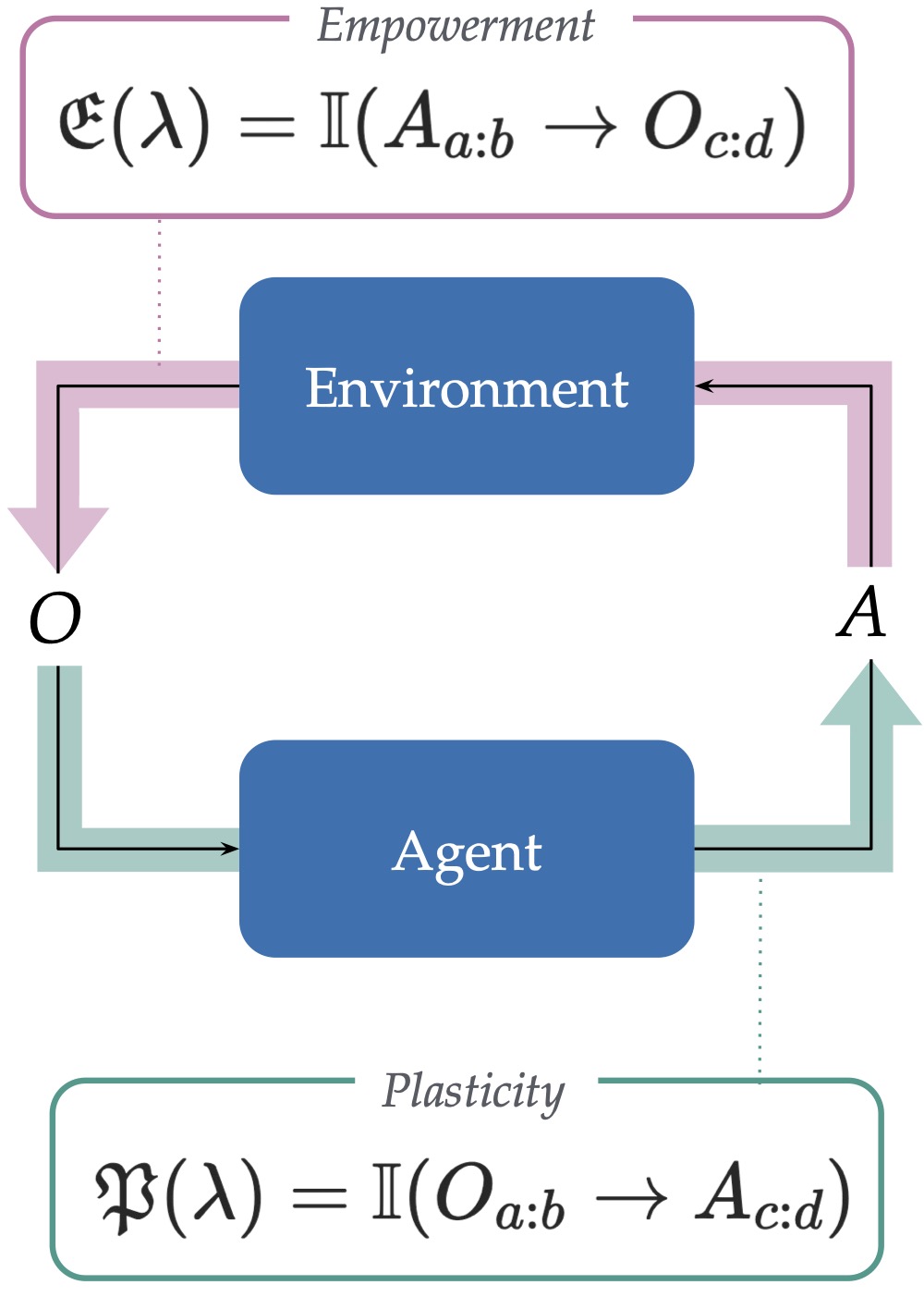 Plasticity as the Mirror of Empowerment